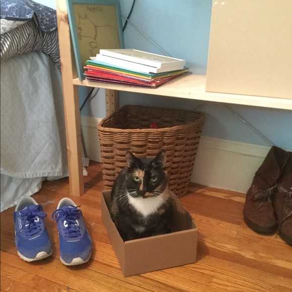 Meet your Posher, Siri - Picture 7 of 8