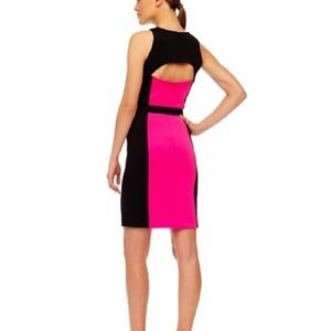 Michael Kors Scuba Dress, Black and Neon Pink