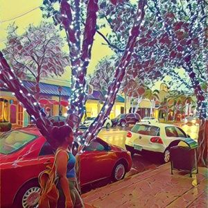 Meet your Posher, Raven