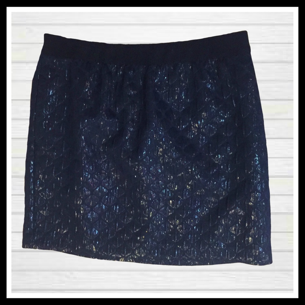 Ann Taylor Dressy Black Skirt Glossy Texture 10p