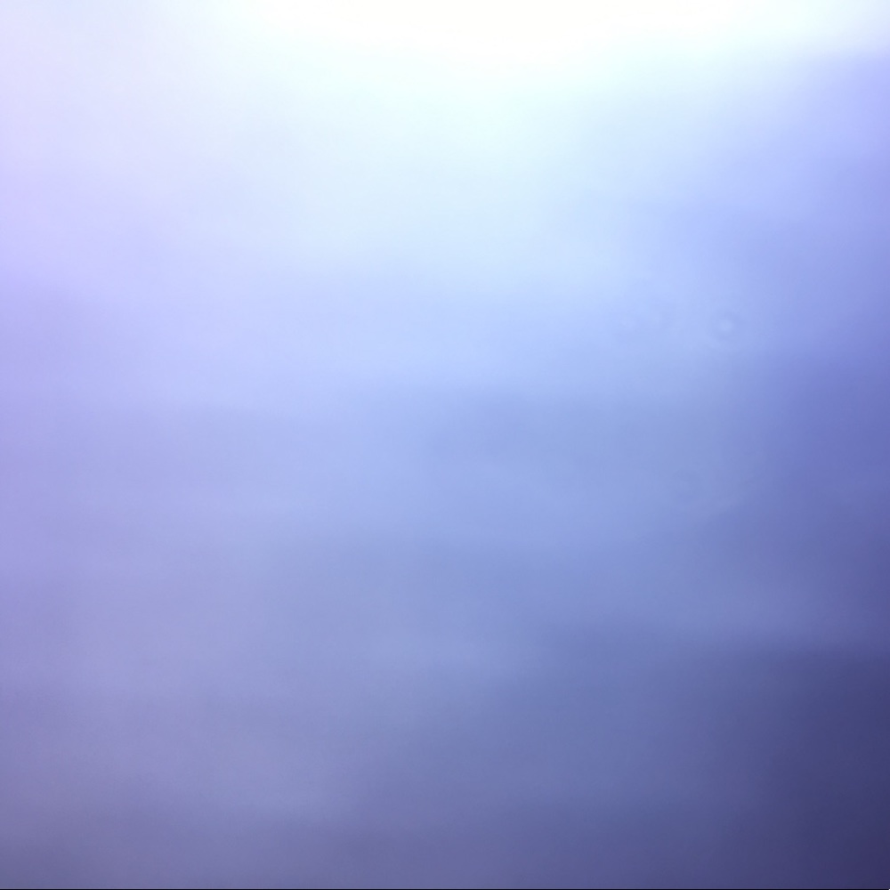 Meet your Posher, Hayley