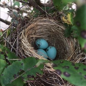 Meet your Posher, Riley