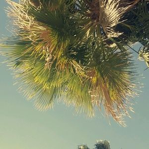 Meet your Posher, Luell