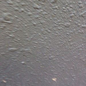 Meet your Posher, Felix