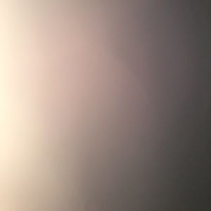 Meet your Posher, Maeve