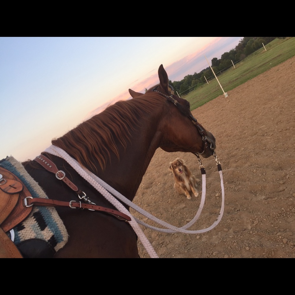 Meet your Posher, Isabelle