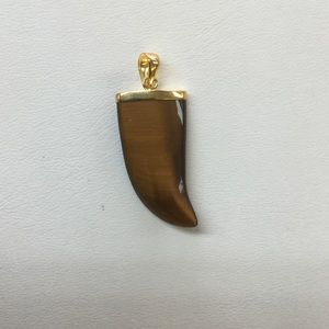 Brown Tiger Eye Tiger Talon