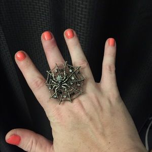 Spider w/web ring adjustable