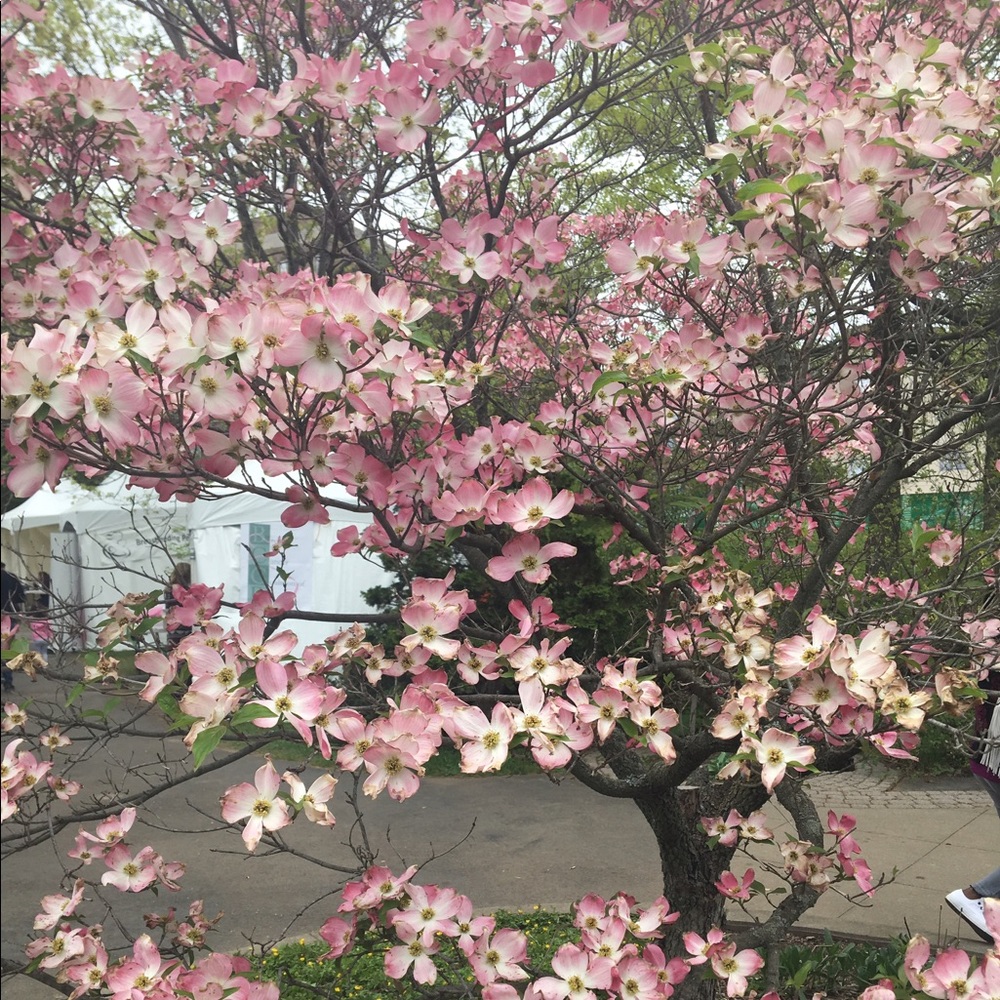 Meet your Posher, Robin