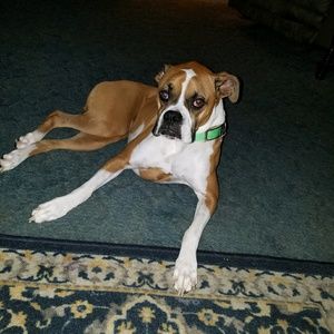 Meet your Posher, Sandra