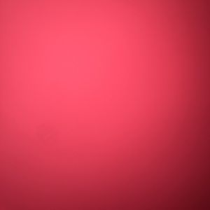 Meet your Posher, Perla