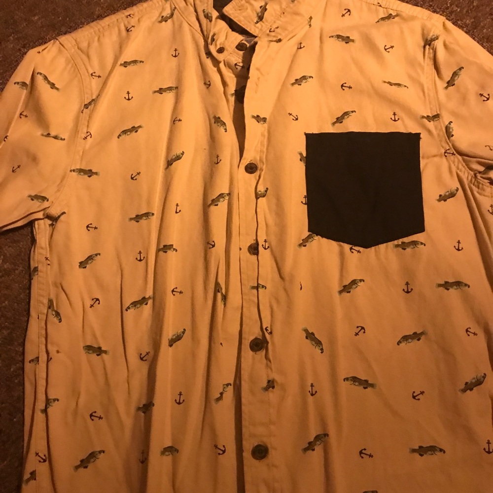 Modern amusement button down