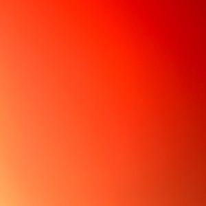 Meet your Posher, Brisa