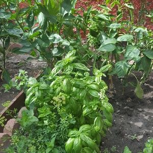 Meet your Posher, Maritza