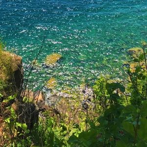 Meet your Posher, Mya