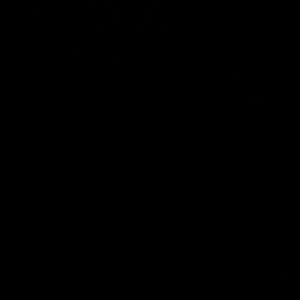 Meet your Posher, Paulina