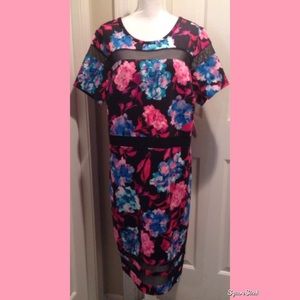 Black and Pink Floral Print Plus Size Dress