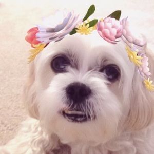 Meet your Posher, Jenna