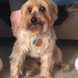 Meet your Posher, Patty