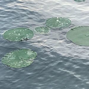 Meet your Posher, Sabrina