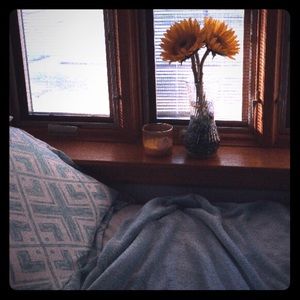 Duvet + 2 Sham Pillow Cases