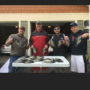 Meet your Posher, Jordyn