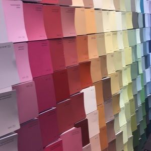 Meet your Posher, Shannon