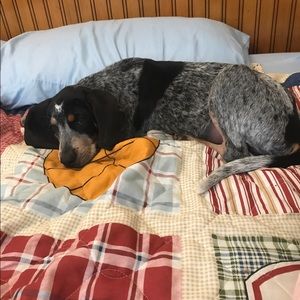 Meet your Posher, Todd