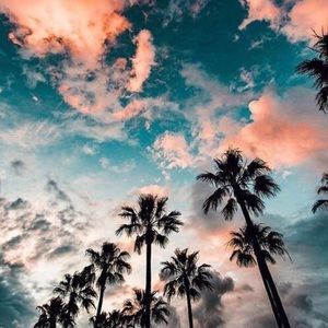 Meet your Posher, Lily