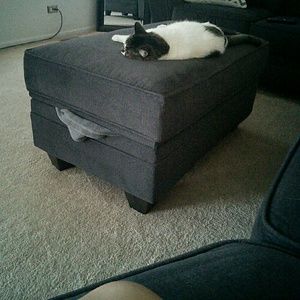 Meet your Posher, Heather