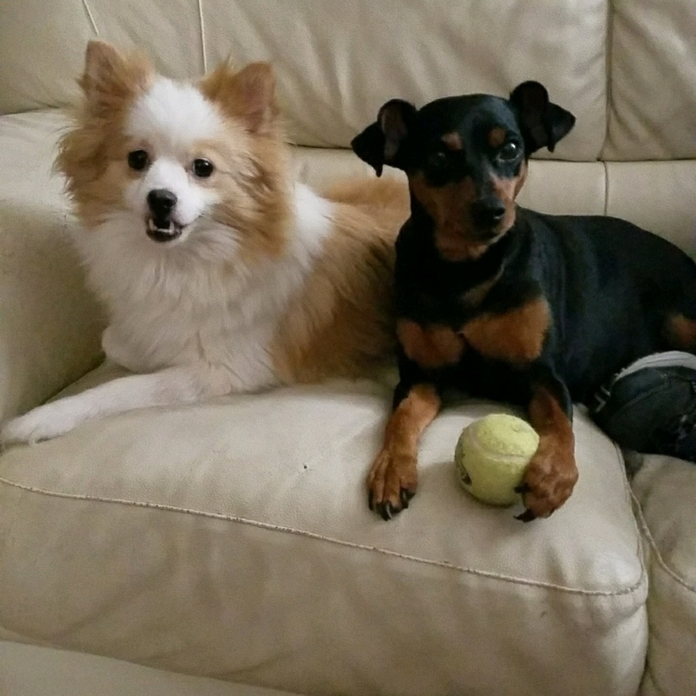 Meet your Posher, Randy