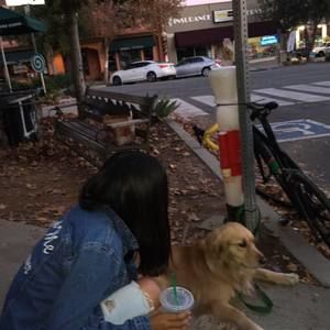 Meet your Posher, Digna