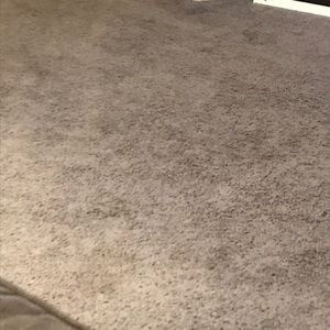 Meet your Posher, Alison