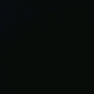 Meet your Posher, Shawn