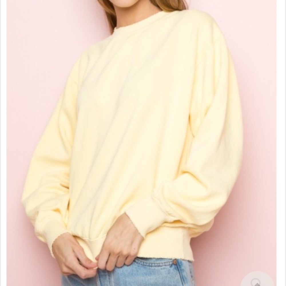 Brandy Melville Erica Sweatshirt NEW WITH TAGS