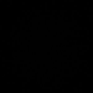 Meet your Posher, Bhumi