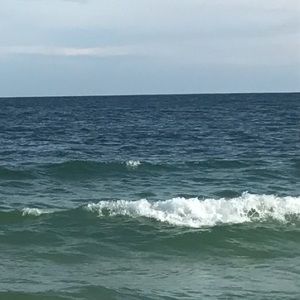 Meet your Posher, Abigail