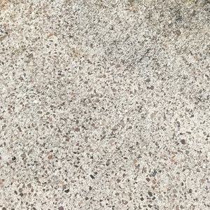 Meet your Posher, Blayne