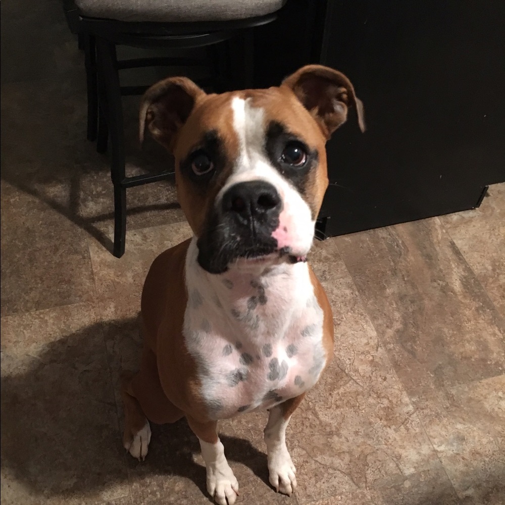 Meet your Posher, Brianna