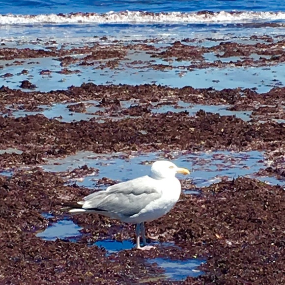 Meet your Posher. - Picture 4 of 8