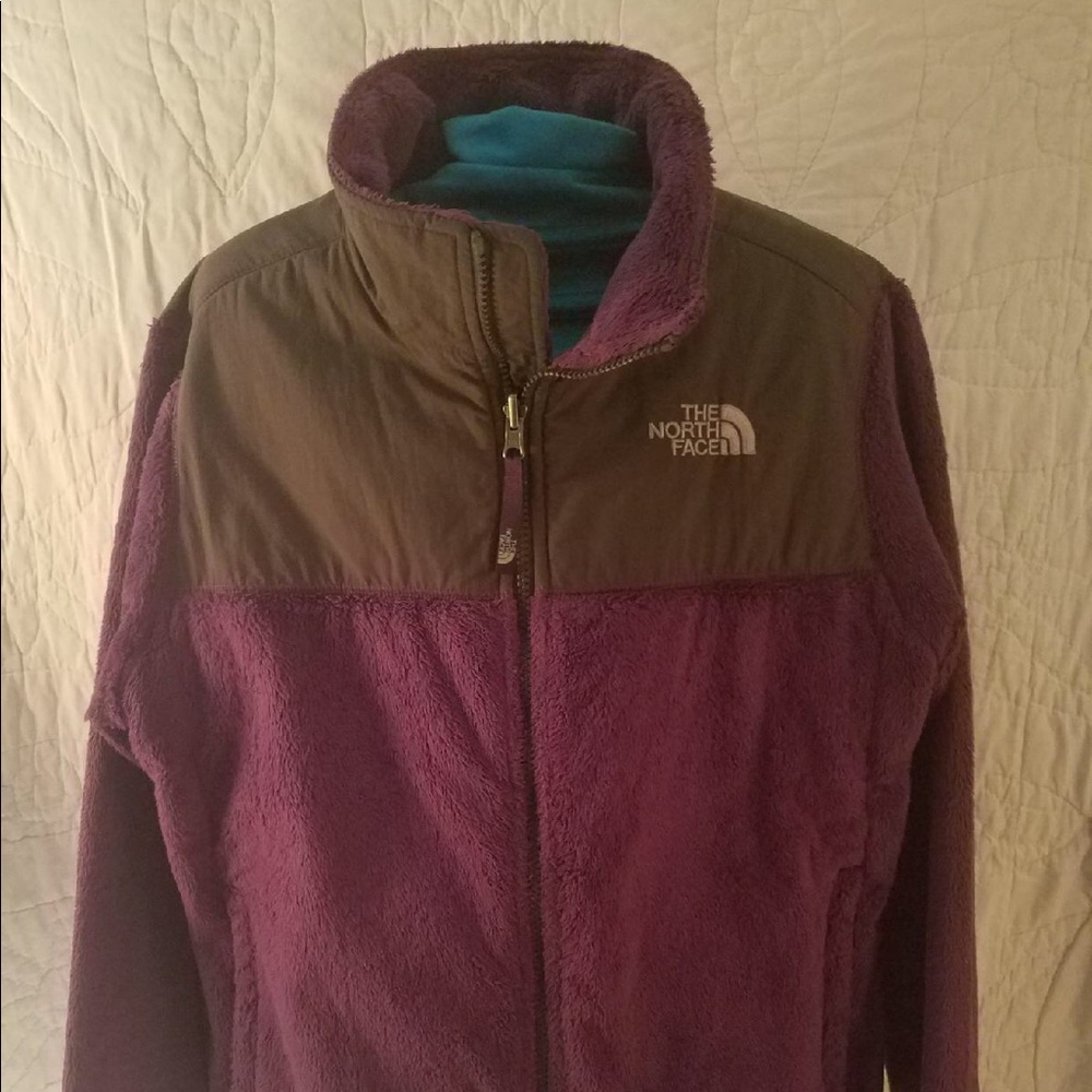 Purple and gray north face jacket
