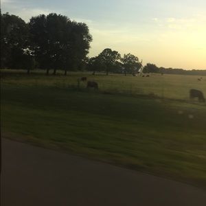 Meet your Posher, Robin