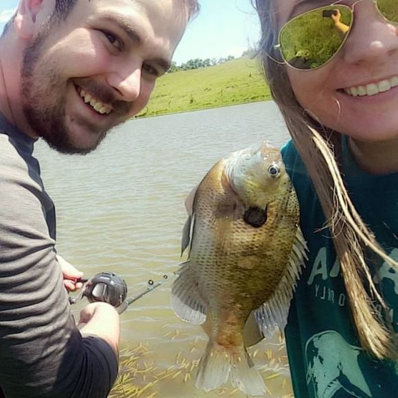 Meet your Posher, Maddie - Picture 1 of 1