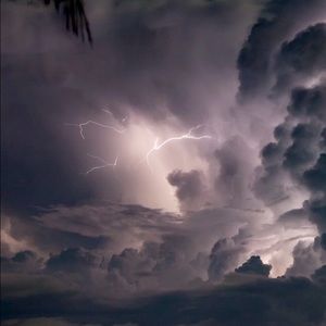 Meet your Posher, Nia