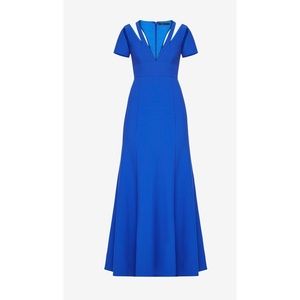 🦋 BCBG Maxazria Sapphire Blue Gown✨