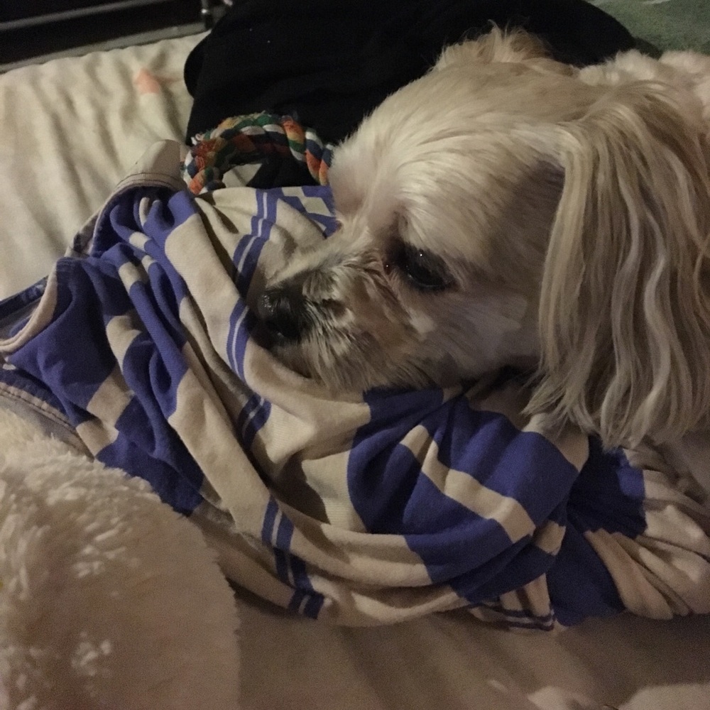 Meet your Posher, Gail