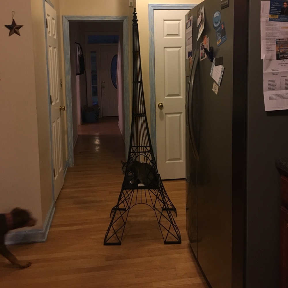 Tall Eiffel Tower