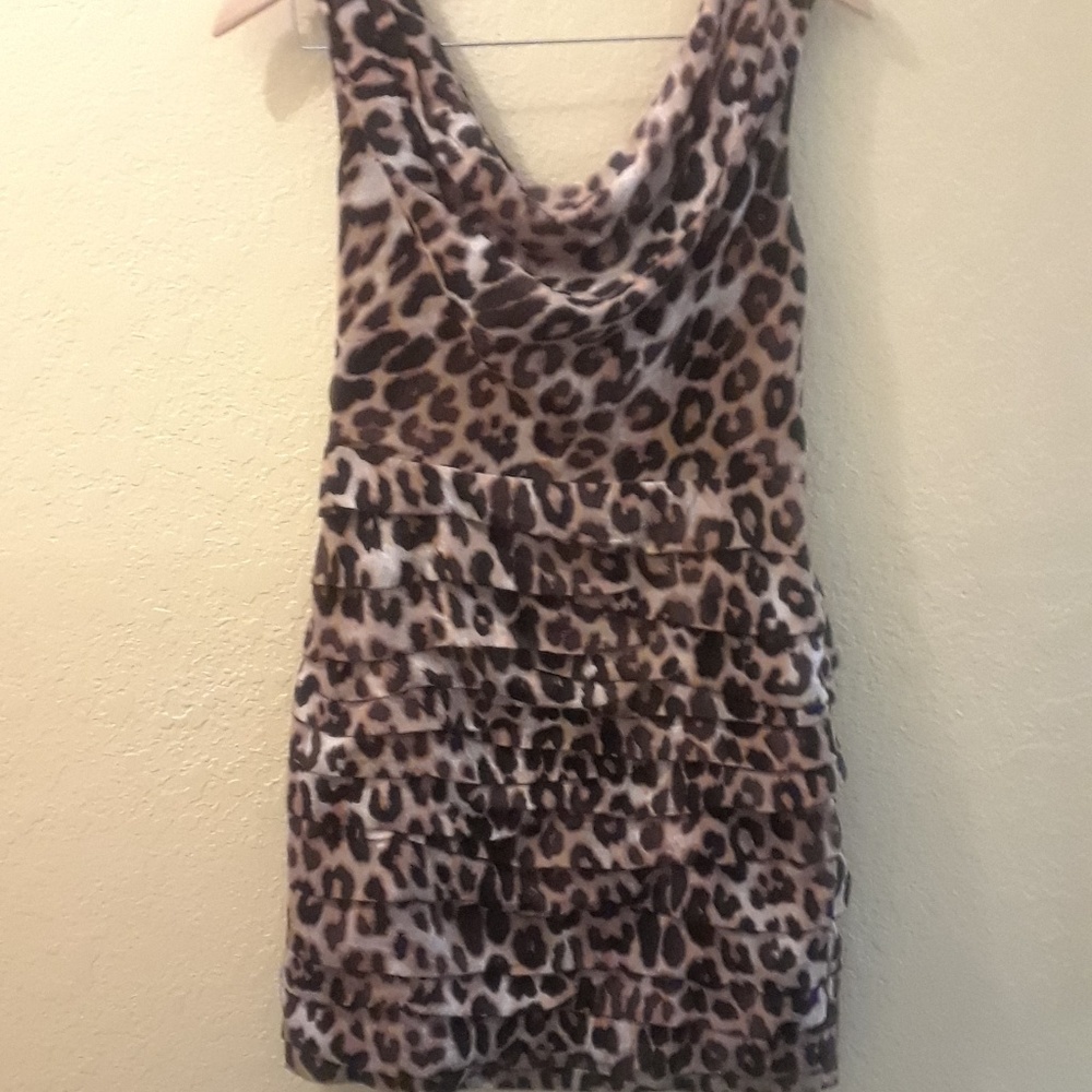 Express Dress - Picture 2 of 2