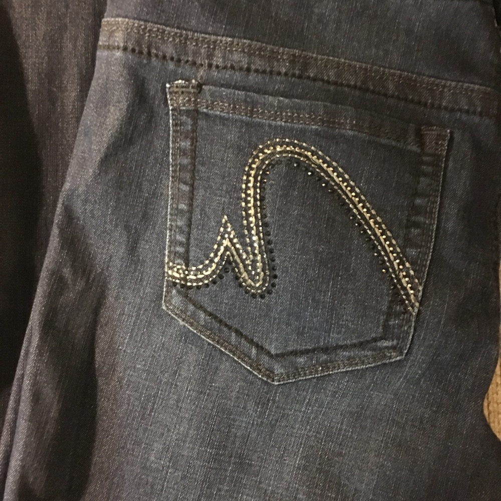 Melissa McCarthy Seven7 Jeans