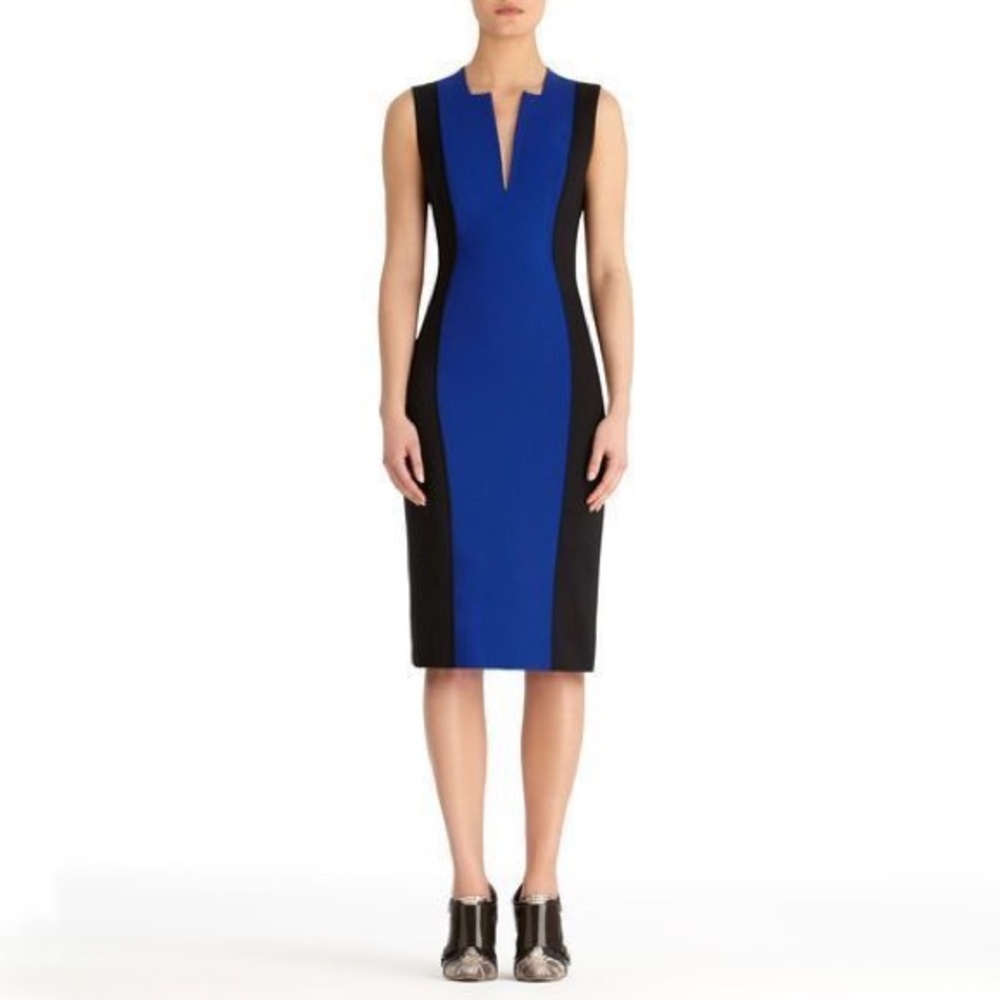 Rachel Roy Color block sheath dress